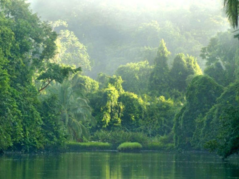Río y selva en el Parque Nacional Corcovado