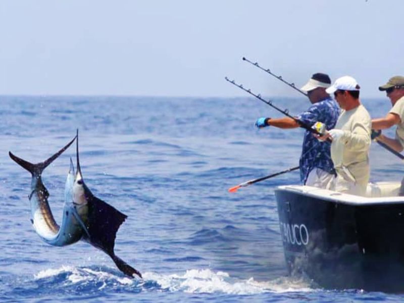 Pescador sosteniendo pez gallo en Costa Rica